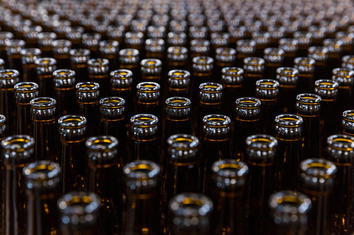 The Science Of Aging: Beer, Human Blood, & Biology