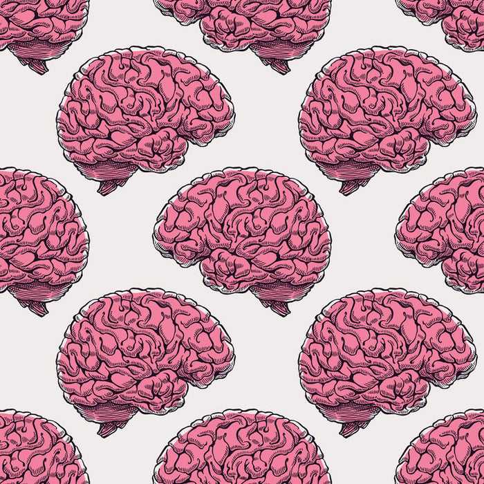 How To Have A Healthy Brain: According To A Harvard Neurology Professor
