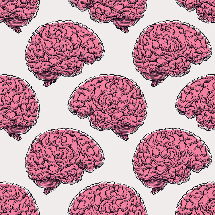 How To Have A Healthy Brain: According To A Harvard Neurology Professor